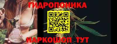круглые Новодвинск